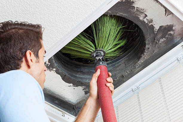 Best Local Air Duct Cleaning Services  in Manistee, MI