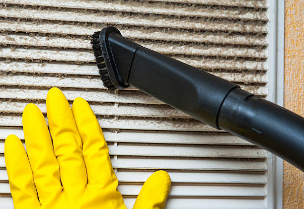 Best Air Duct Mold Removal  in Manistee, MI